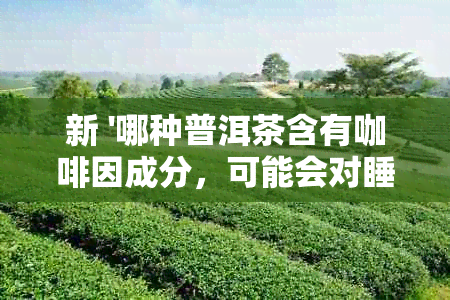 新 '哪种普洱茶含有 *** 成分，可能会对睡眠产生影响？'