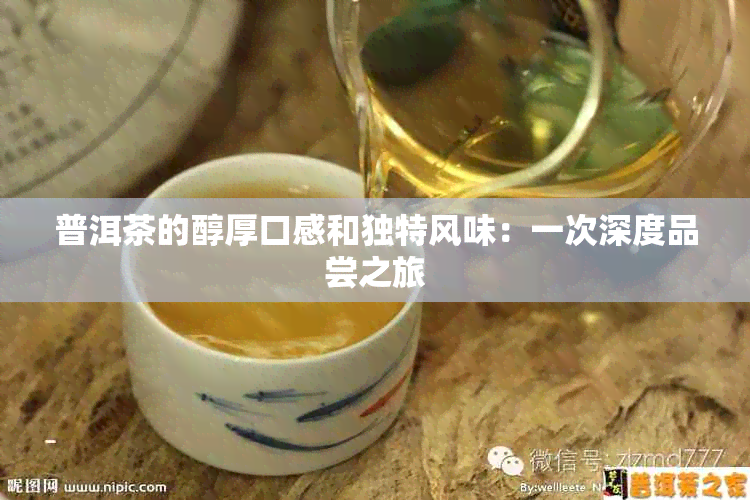 普洱茶的醇厚口感和独特风味：一次深度品尝之旅