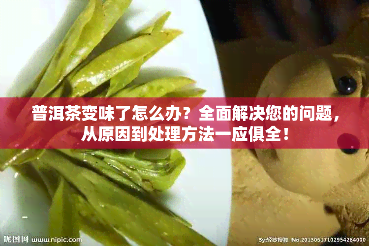 普洱茶变味了怎么办？全面解决您的问题，从原因到处理方法一应俱全！