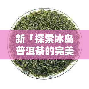 新「探索冰岛普洱茶的完美冲泡方法：让你的茶更好喝」