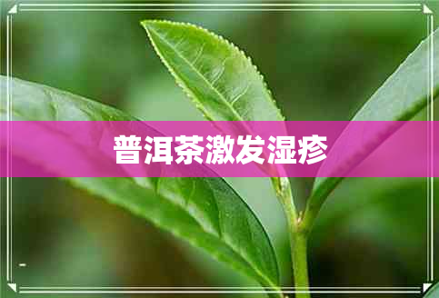 普洱茶激发湿疹