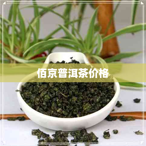 佰京普洱茶价格