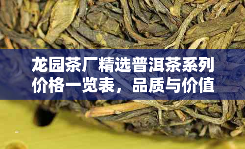 龙园茶厂精选普洱茶系列价格一览表，品质与价值的完美融合