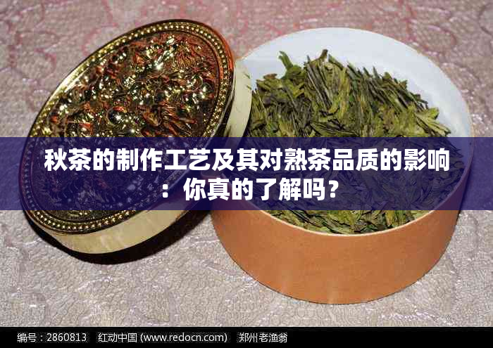 秋茶的制作工艺及其对熟茶品质的影响：你真的了解吗？