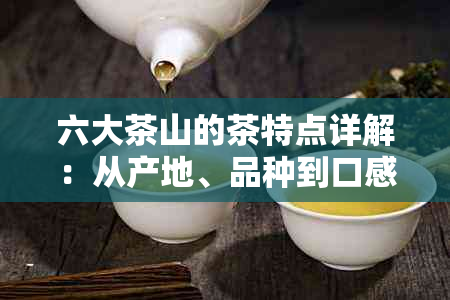 六大茶山的茶特点详解：从产地、品种到口感一网打尽！