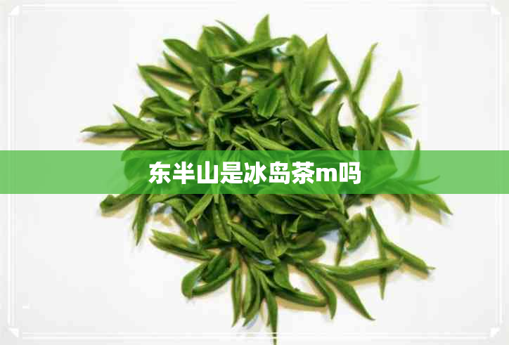 东半山是冰岛茶m吗