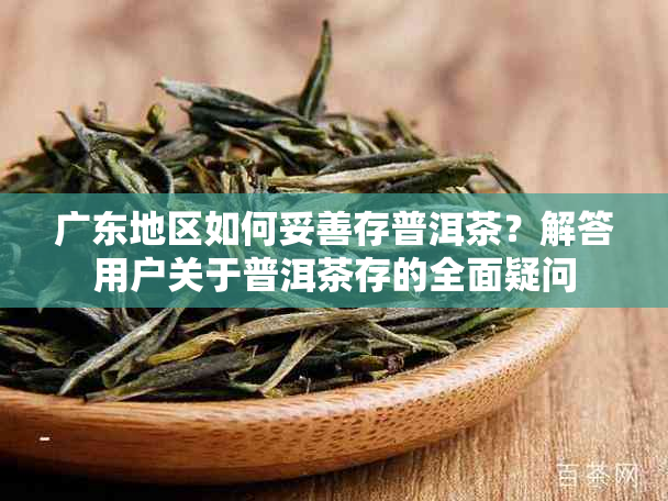 广东地区如何妥善存普洱茶？解答用户关于普洱茶存的全面疑问