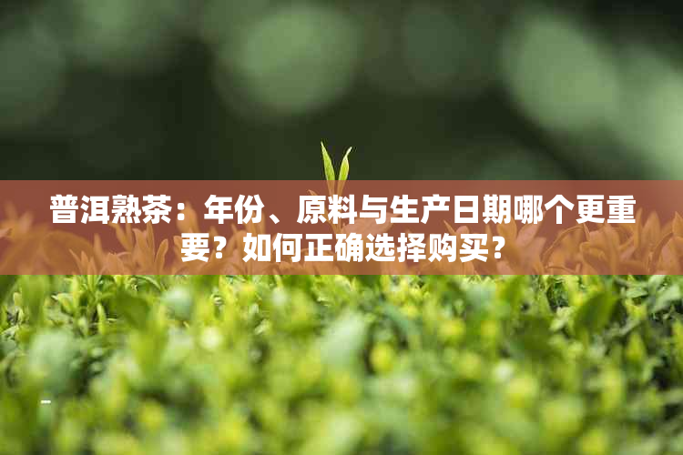 普洱熟茶：年份、原料与生产日期哪个更重要？如何正确选择购买？