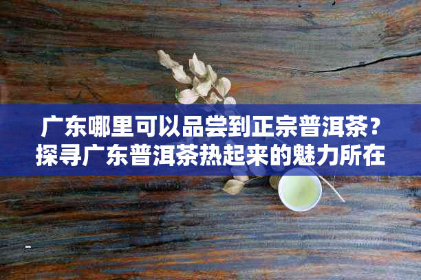 广东哪里可以品尝到正宗普洱茶？探寻广东普洱茶热起来的魅力所在