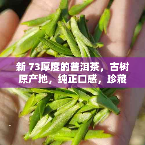 新 73厚度的普洱茶，古树原产地，纯正口感，珍藏级体验