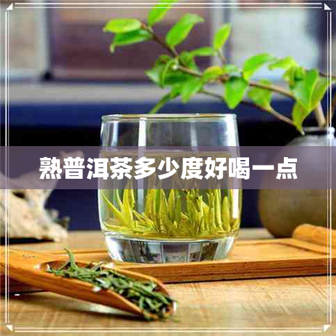 熟普洱茶多少度好喝一点