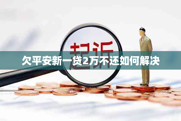 欠平安新一贷2万不还如何解决