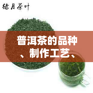 普洱茶的品种、制作工艺、功效与泡法：一篇全面解答普洱茶相关问题的指南