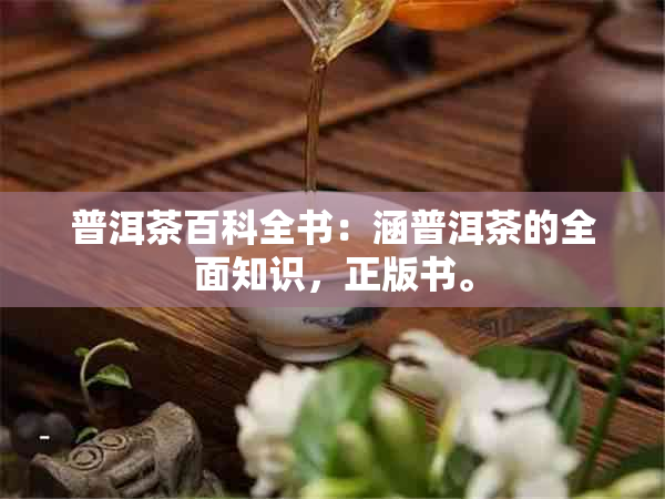 普洱茶百科全书：涵普洱茶的全面知识，正版书。