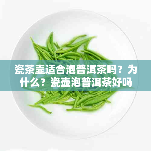 瓷茶壶适合泡普洱茶吗？为什么？瓷壶泡普洱茶好吗？