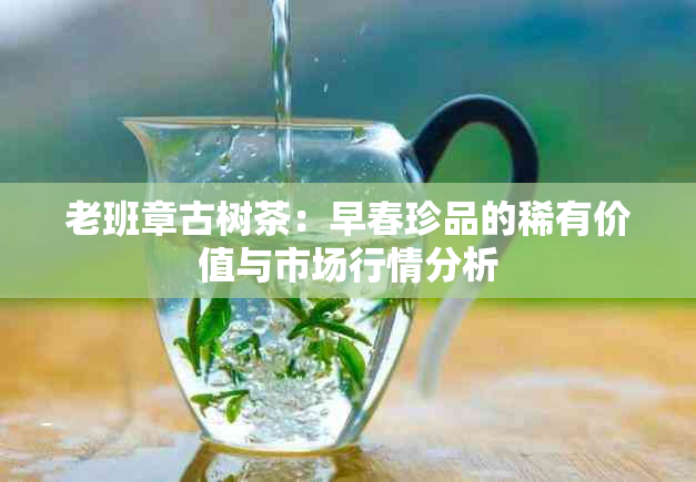 老班章古树茶：早春珍品的稀有价值与市场行情分析