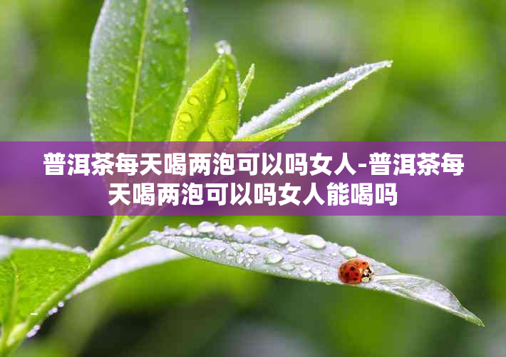 普洱茶每天喝两泡可以吗女人-普洱茶每天喝两泡可以吗女人能喝吗