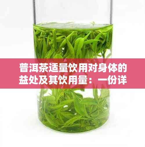 普洱茶适量饮用对身体的益处及其饮用量：一份详细指南