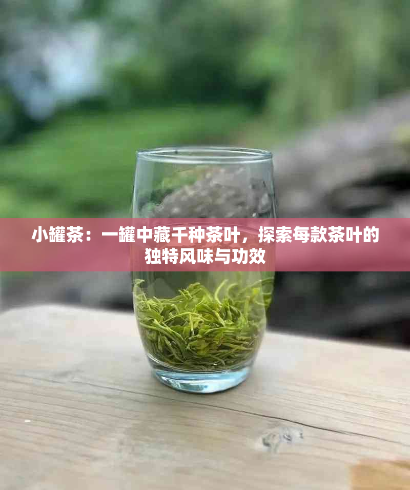 小罐茶：一罐中藏千种茶叶，探索每款茶叶的独特风味与功效