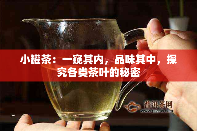 小罐茶：一窥其内，品味其中，探究各类茶叶的秘密