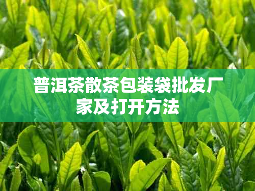 普洱茶散茶包装袋批发厂家及打开方法