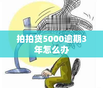 拍拍贷5000逾期3年怎么办