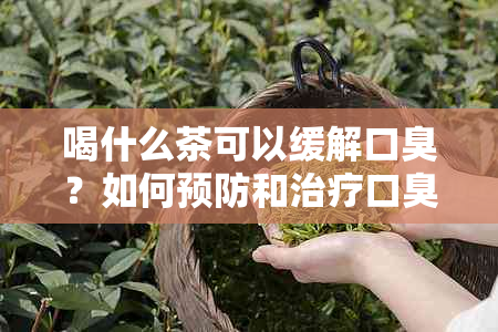 喝什么茶可以缓解口臭？如何预防和治疗口臭？全面解答您的疑问