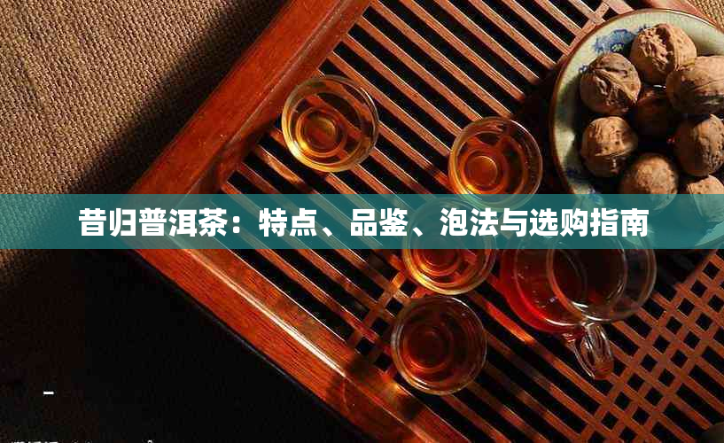 昔归普洱茶：特点、品鉴、泡法与选购指南