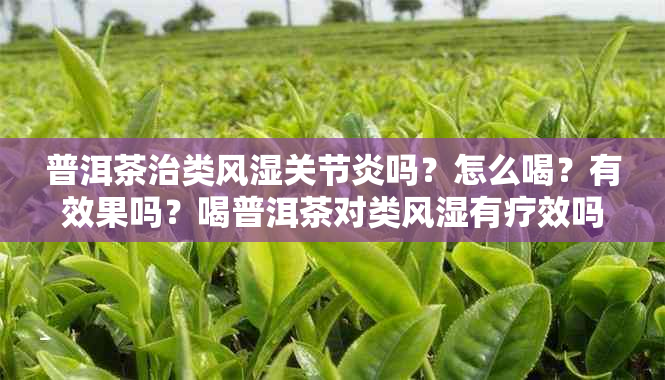 普洱茶治类风湿关节炎吗？怎么喝？有效果吗？喝普洱茶对类风湿有疗效吗？