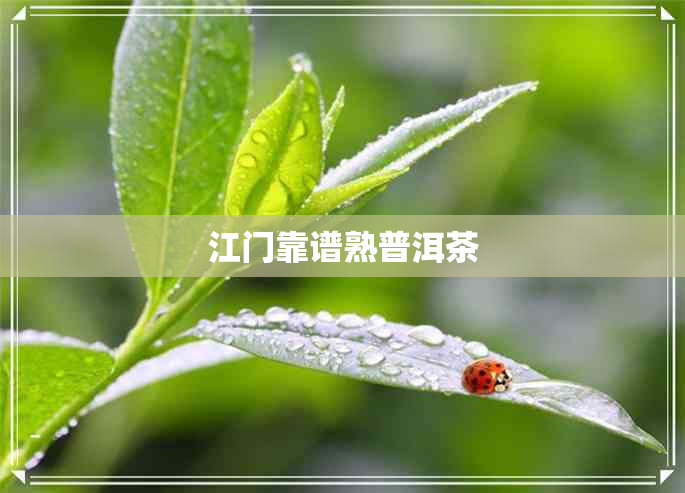 江门靠谱熟普洱茶