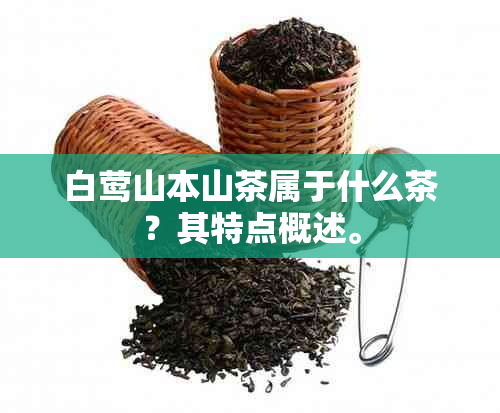 白莺山本山茶属于什么茶？其特点概述。