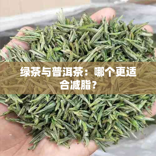 绿茶与普洱茶：哪个更适合减脂？