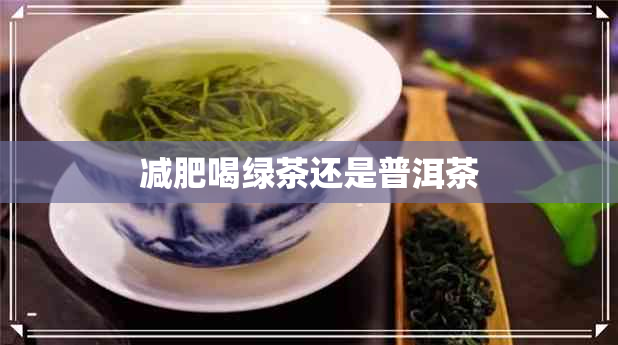 减肥喝绿茶还是普洱茶