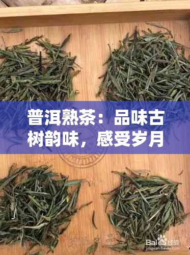 普洱熟茶：品味古树韵味，感受岁月沉淀的美文