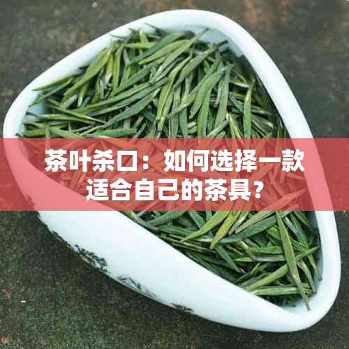 茶叶杀口：如何选择一款适合自己的茶具？