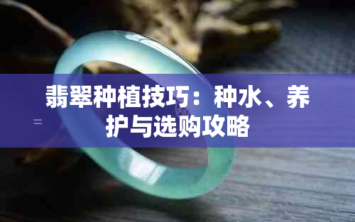 翡翠种植技巧：种水、养护与选购攻略