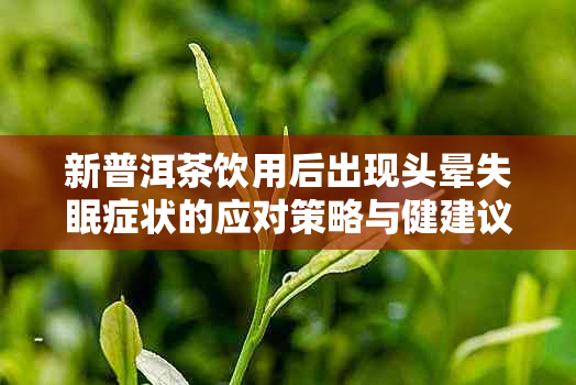 新普洱茶饮用后出现头晕失眠症状的应对策略与健建议