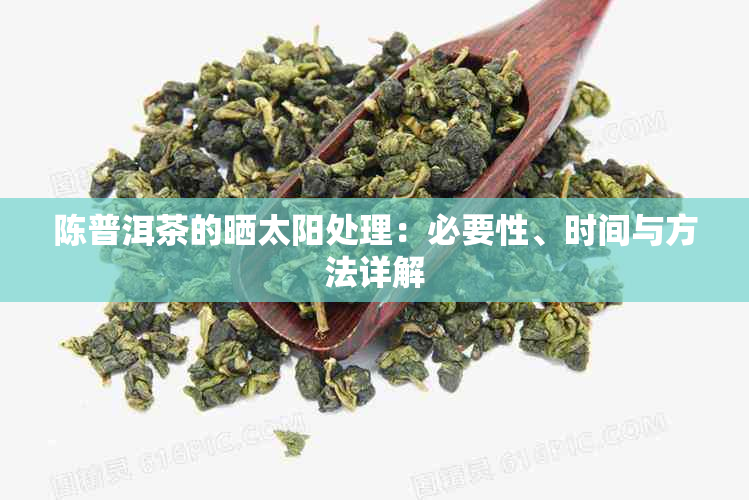 陈普洱茶的晒太阳处理：必要性、时间与方法详解