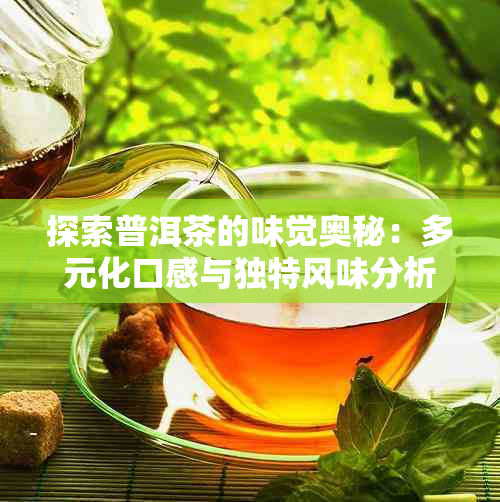 探索普洱茶的味觉奥秘：多元化口感与独特风味分析