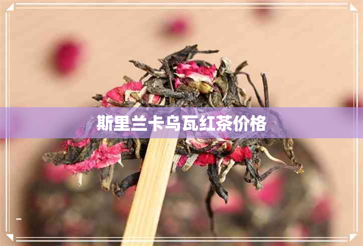 斯里兰卡乌瓦红茶价格