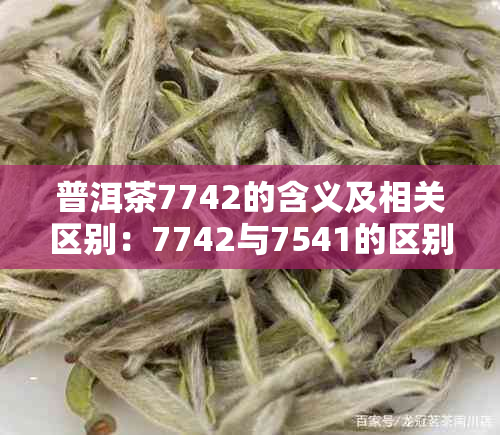 普洱茶7742的含义及相关区别：7742与7541的区别解析