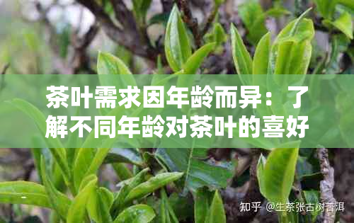 茶叶需求因年龄而异：了解不同年龄对茶叶的喜好和消费惯