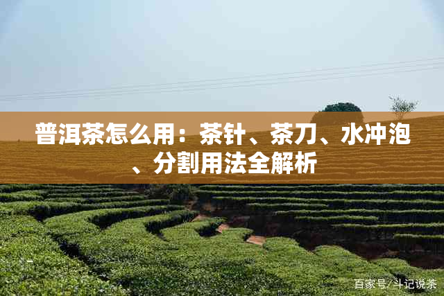 普洱茶怎么用：茶针、茶刀、水冲泡、分割用法全解析