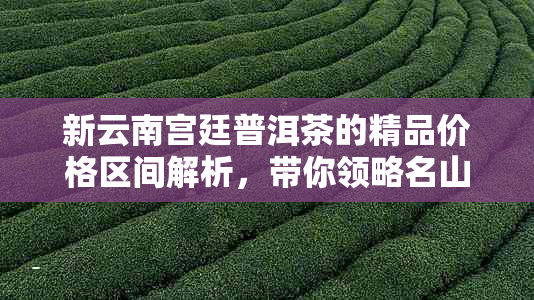 新云南宫廷普洱茶的精品价格区间解析，带你领略名山古树的独特魅力