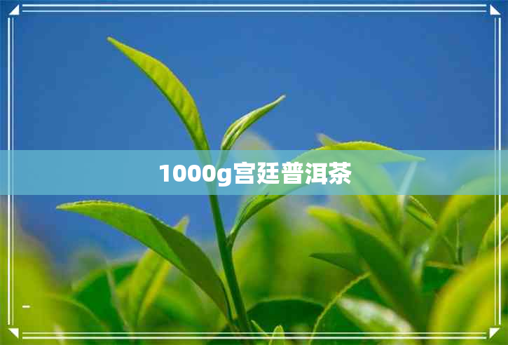 1000g宫廷普洱茶