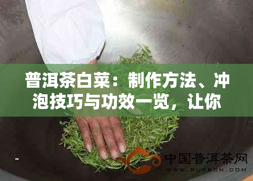 普洱茶白菜：制作方法、冲泡技巧与功效一览，让你全面了解这种茶叶的魅力