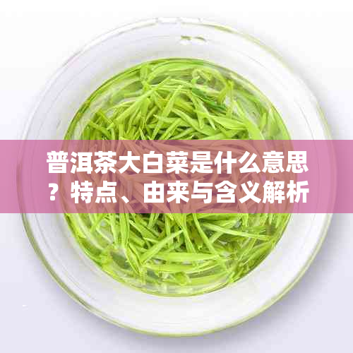 普洱茶大白菜是什么意思？特点、由来与含义解析