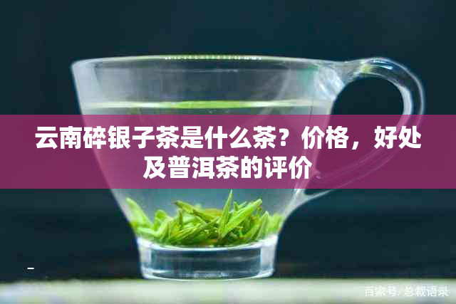 云南碎银子茶是什么茶？价格，好处及普洱茶的评价