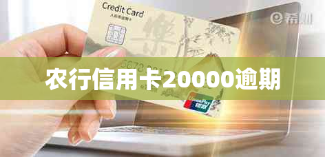 农行信用卡20000逾期