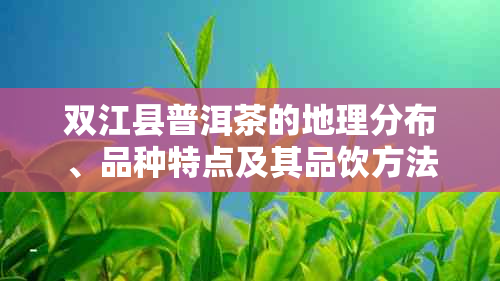 双江县普洱茶的地理分布、品种特点及其品饮方法：一份全面指南